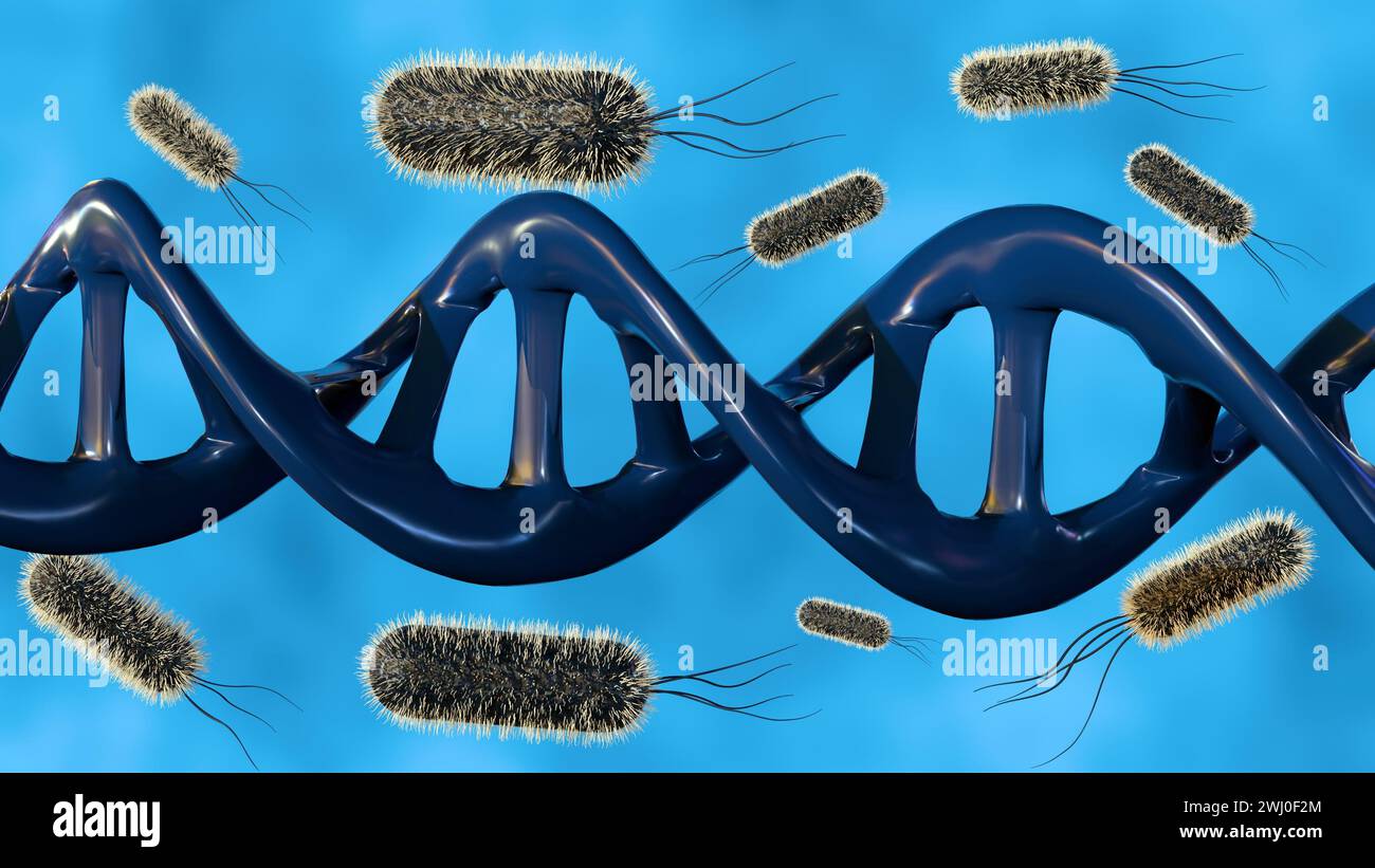 Rendu 3d d'un brin d'ADN à double hélice entouré de plusieurs bactéries en forme de bâtonnet, l'interaction entre bactéries et ADN. Banque D'Images