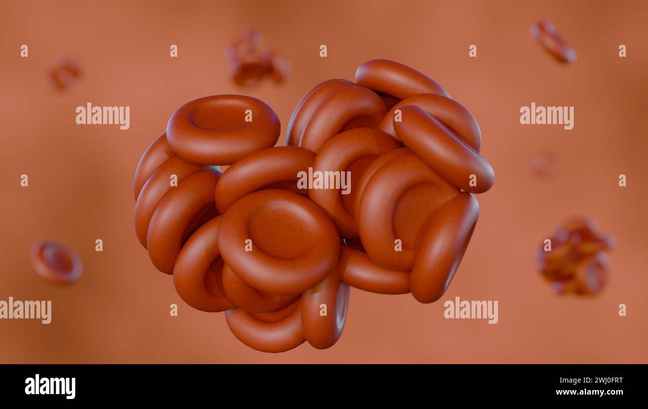 le rendu 3d de l'agglutination ou de l'hémagglutination, est une réponse immunitaire lorsque les érythrocytes s'agglutinent ensemble. Il se produit lorsque les érythrocytes rencontrent la toxine Banque D'Images