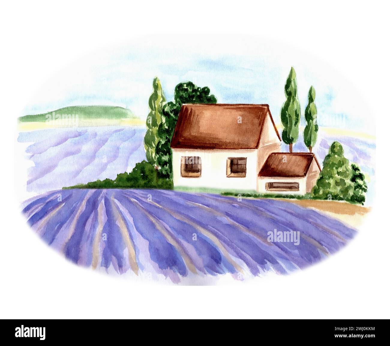 Champs violets de lavande et ferme sur fond d'arbres et de ciel. Illustration aquarelle du paysage d'été de Provence. Isolé dessiné à la main Banque D'Images