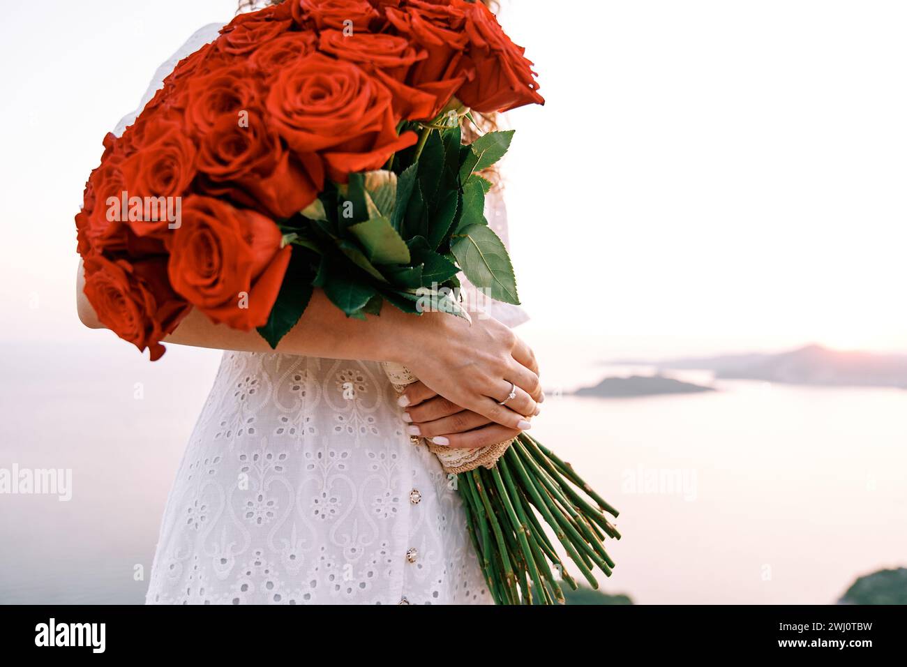 Énorme bouquet de roses rouges dans les mains d'une femme avec une bague de fiançailles sur son doigt. Rogné. Sans visage Banque D'Images