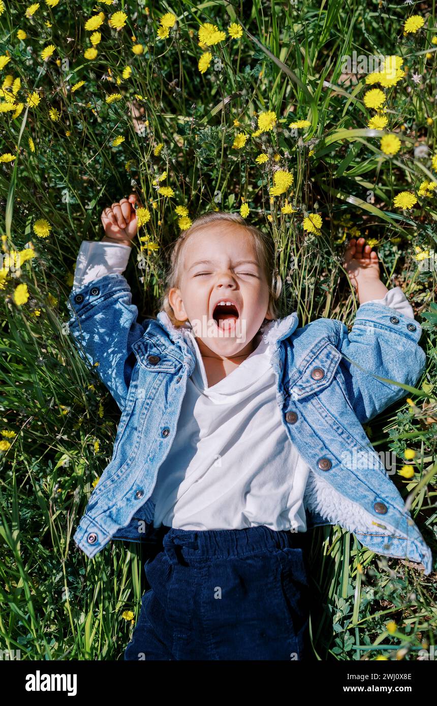 Petite fille avec une bouche ouverte et les mains levées se trouve parmi les pissenlits jaunes. Vue de dessus Banque D'Images