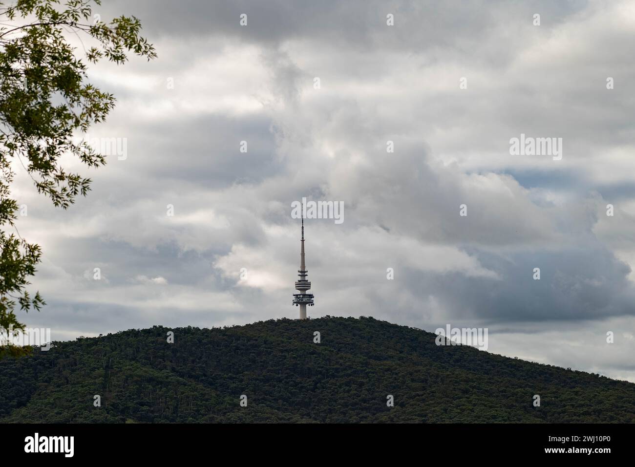 Tour Telstra sur Black Mountain à Canberra, TERRITOIRE DE LA CAPITALE AUSTRALIENNE. Banque D'Images