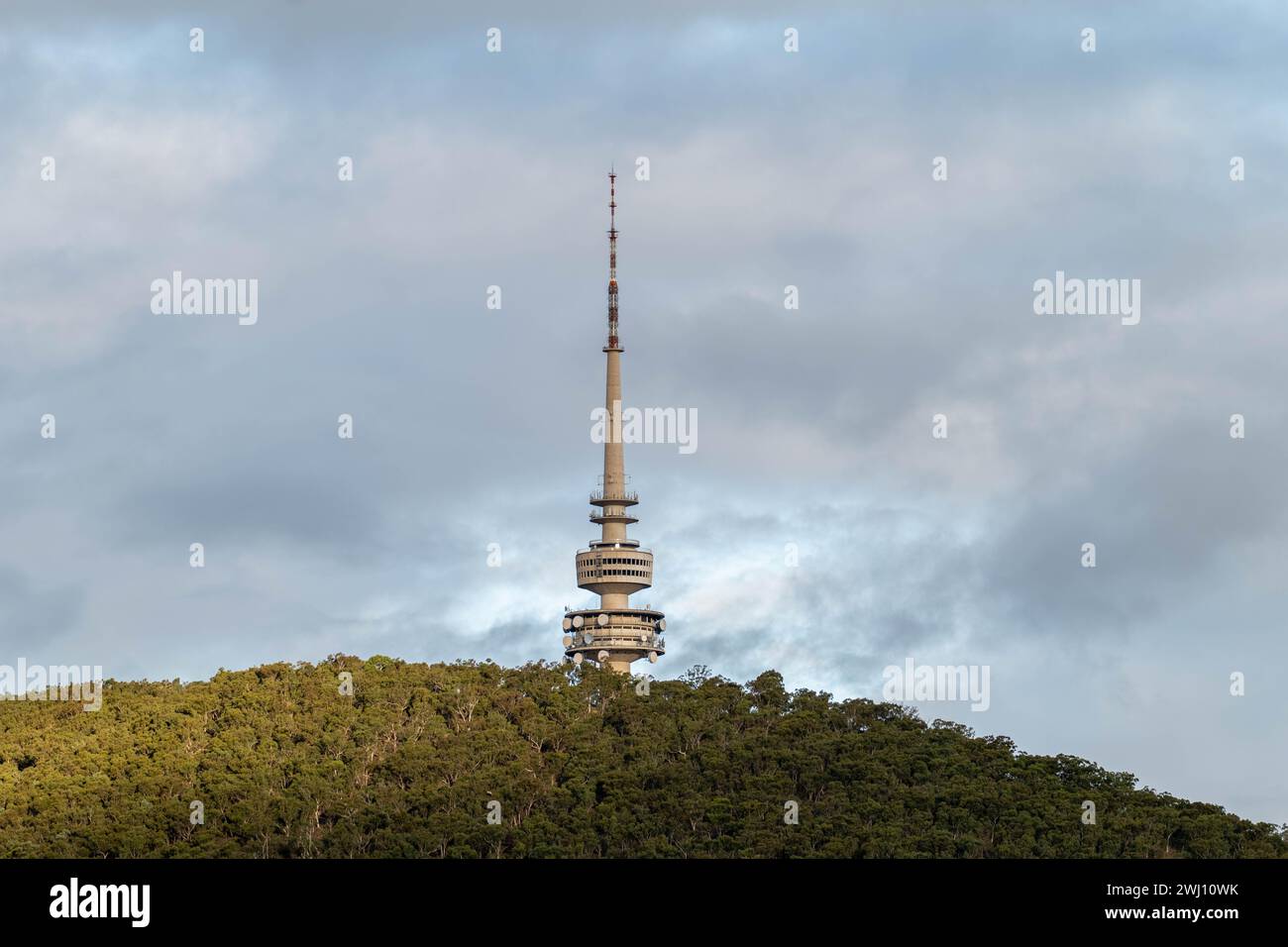 Tour Telstra sur Black Mountain à Canberra, TERRITOIRE DE LA CAPITALE AUSTRALIENNE. Banque D'Images