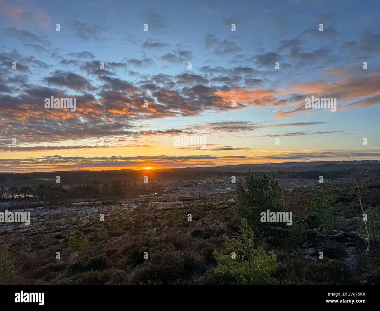 Frensham Little Pond, Farnham, Surrey. 12 février 2024. Un beau début de journée pour les Home Counties. Lever du soleil sur Frensham Little Pond près de Farnham dans le Surrey. Crédit : james jagger/Alamy Live News Banque D'Images