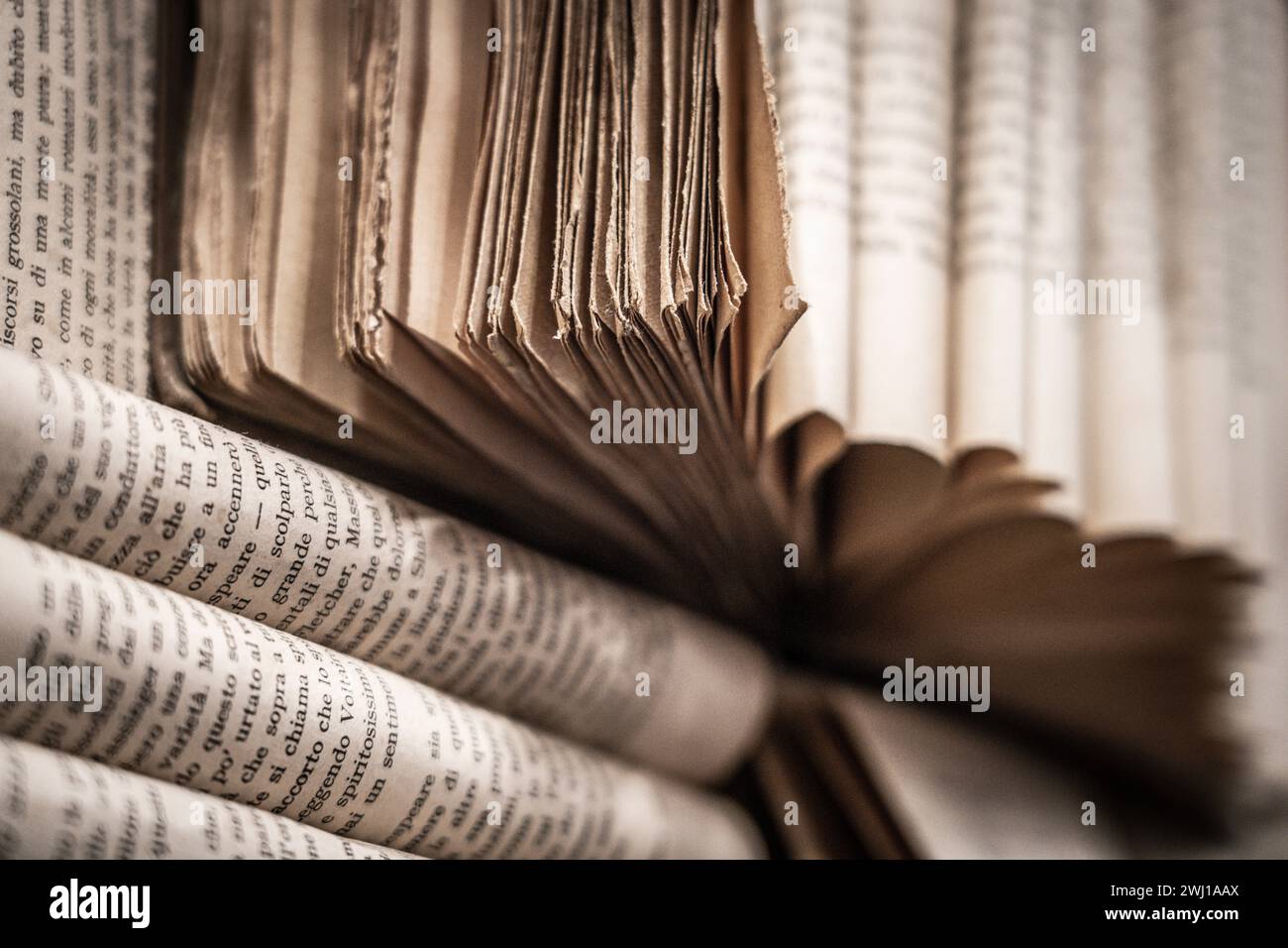 Pages jaunies de livres anciens, Madrid, Espagne Banque D'Images