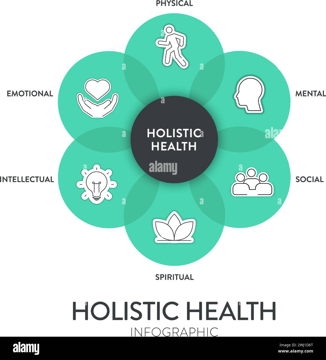 Holistic Health Framework infographie diagramme graphique illustration modèle de bannière avec le vecteur d'ensemble d'icônes a physique, mental, social, spirituel, intelle Illustration de Vecteur