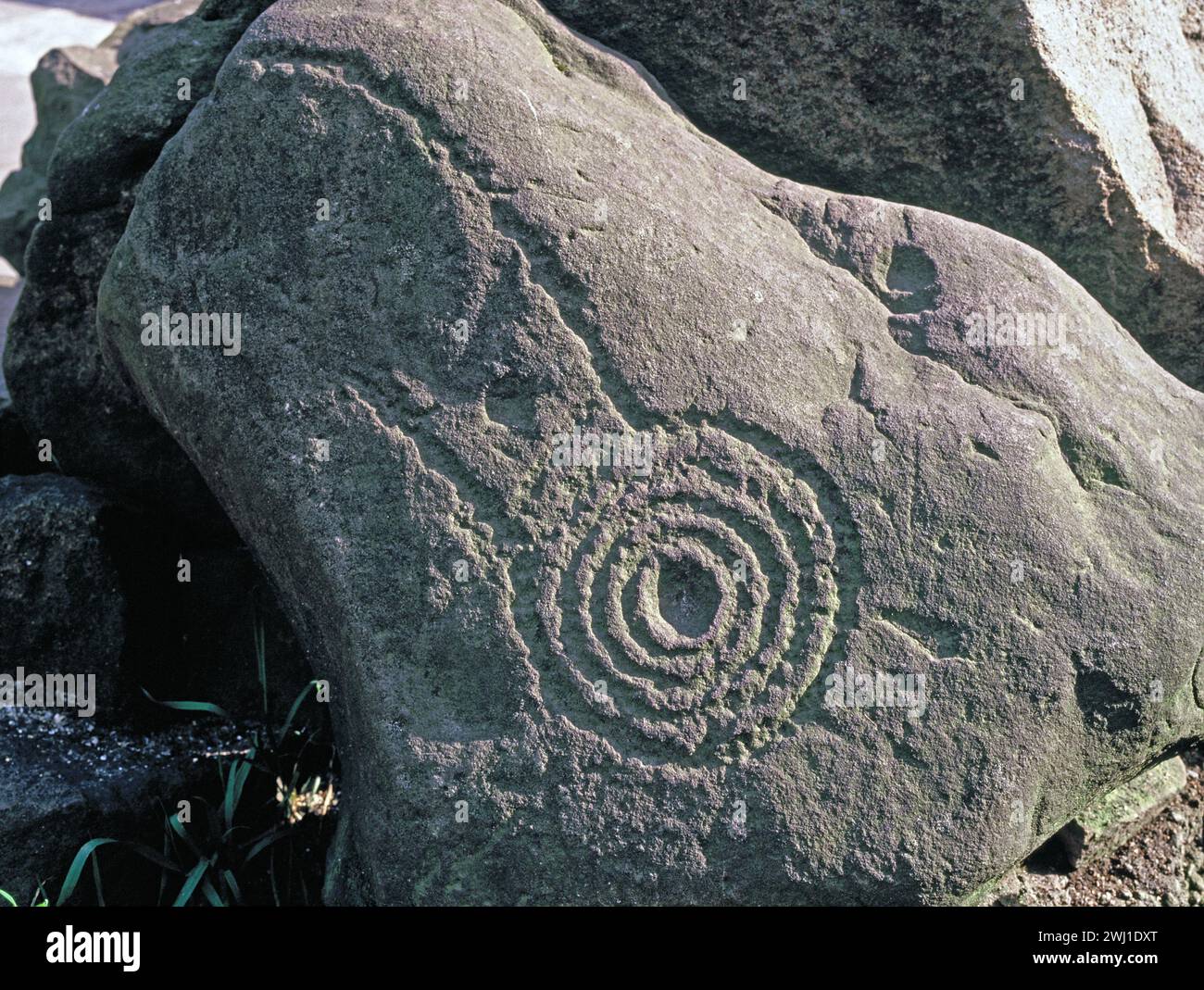 Hawaii. Ancien rocher parcouru Anneaux concentriques en pierre sculptée de pétroglyphe. Banque D'Images