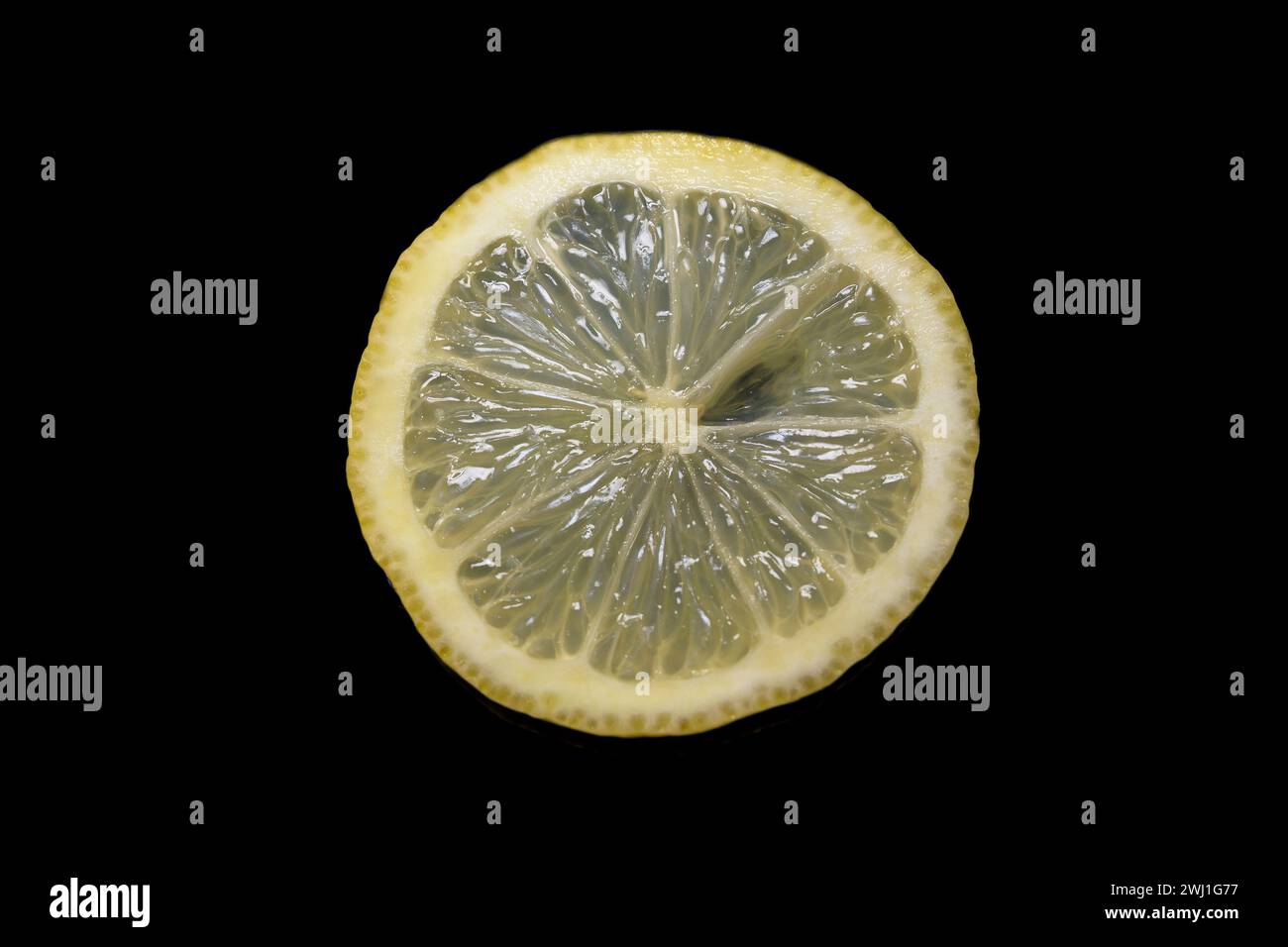 Tranche de citron jaune avec fond noir foncé horizontalement au-dessus de Citrus aurantifolia Banque D'Images