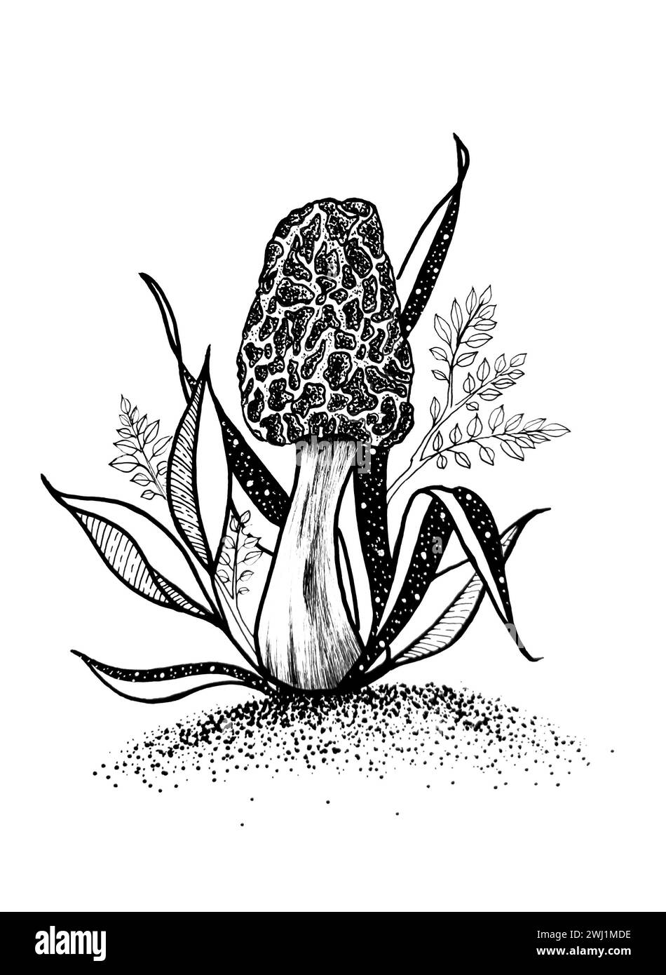 Illustration dessinée à la main de champignon en couleur noire Banque D'Images