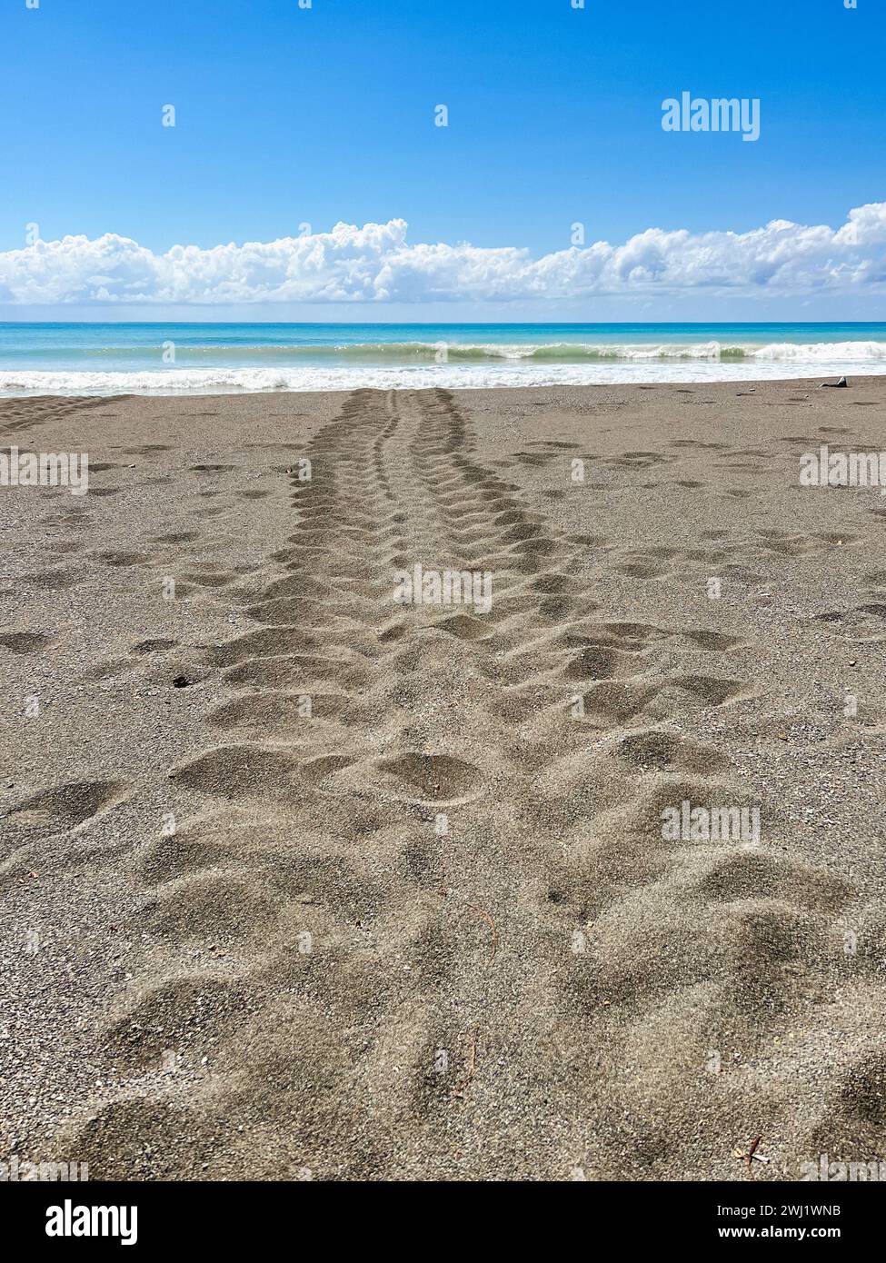 Traces de tortues dans le sable menant à l'océan Pacifique et au ciel bleu, parc national du Corcovado, Costa Rica Banque D'Images