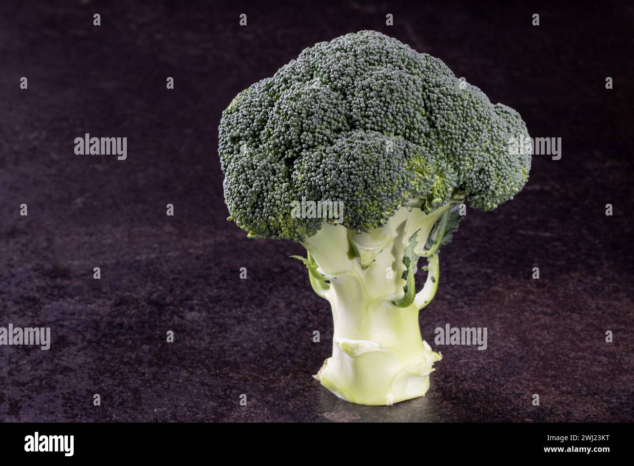 Tête unique de légume frais de brocoli vert sur fond noir isolé Banque D'Images