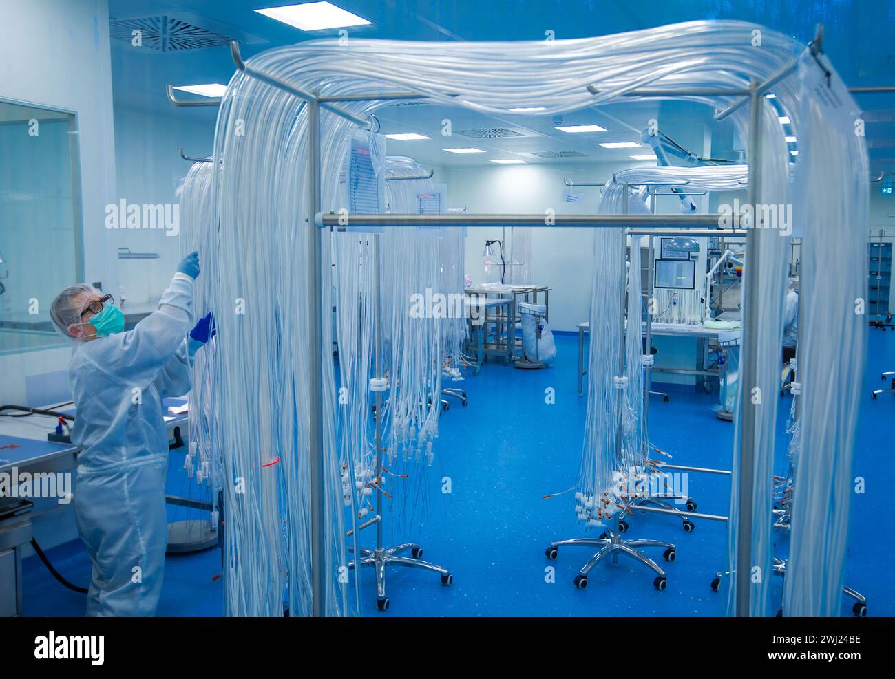 Schwerin, Allemagne. 12 février 2024. Dans la salle blanche de la société Human Med AG, des tubes sont préparés pour être assemblés dans des dispositifs médicaux de liposuccion. L’entreprise basée à Schwerin et l’Université et le Centre médical universitaire Rostock travaillent ensemble sur ce projet. Le dispositif utilise des vibrations ou un jet d'eau pour aspirer la graisse du corps humain et est utilisé dans le traitement chirurgical du lipoœdème, un trouble de la distribution de graisse. Crédit : Jens Büttner/dpa/Alamy Live News Banque D'Images