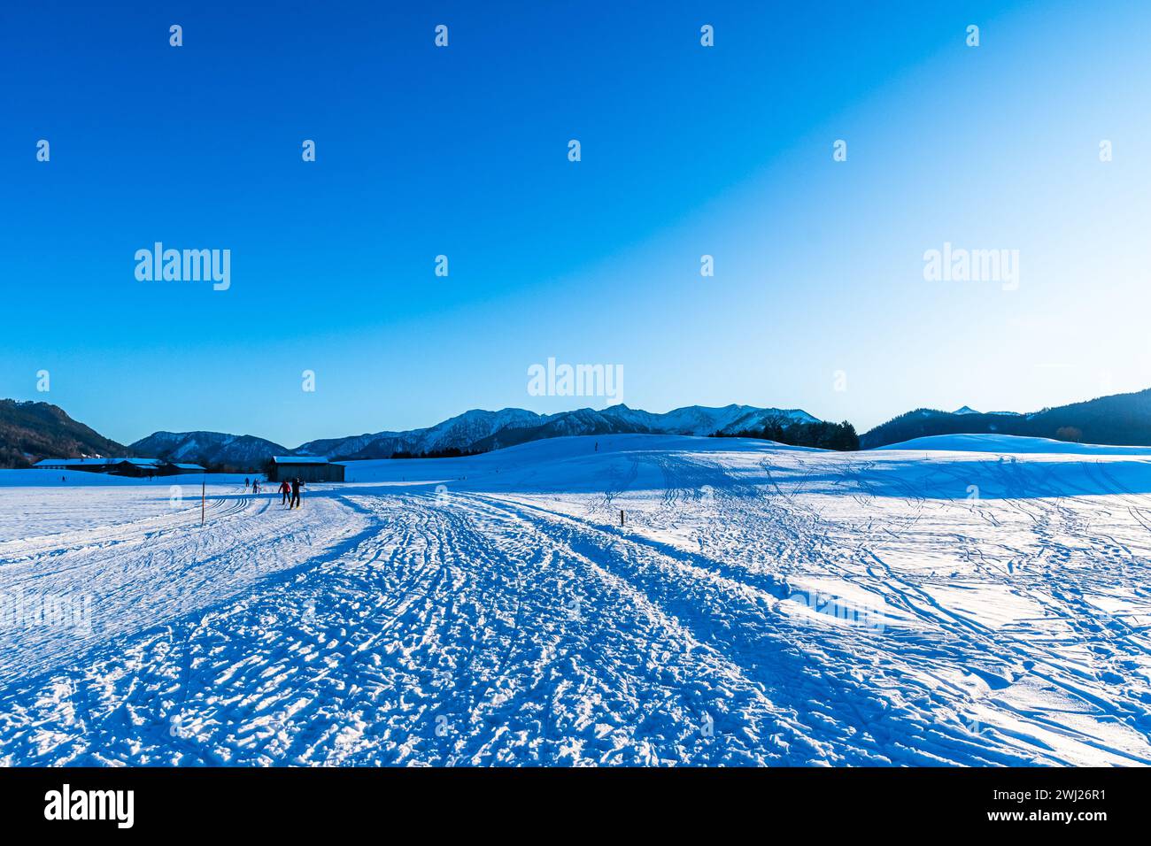 Paysage d'hiver avec pistes de ski de fond dans la neige à Fischbachau, Bavière, Allemagne, espace copie Banque D'Images