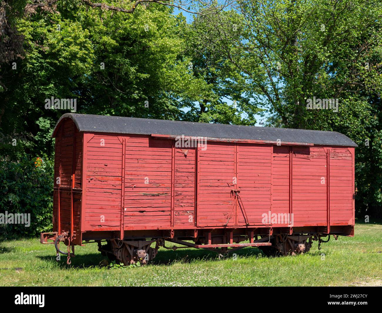 Vieux wagon en bois avec des planches altérées. Debout sur l'herbe avec des arbres verts en arrière-plan Banque D'Images