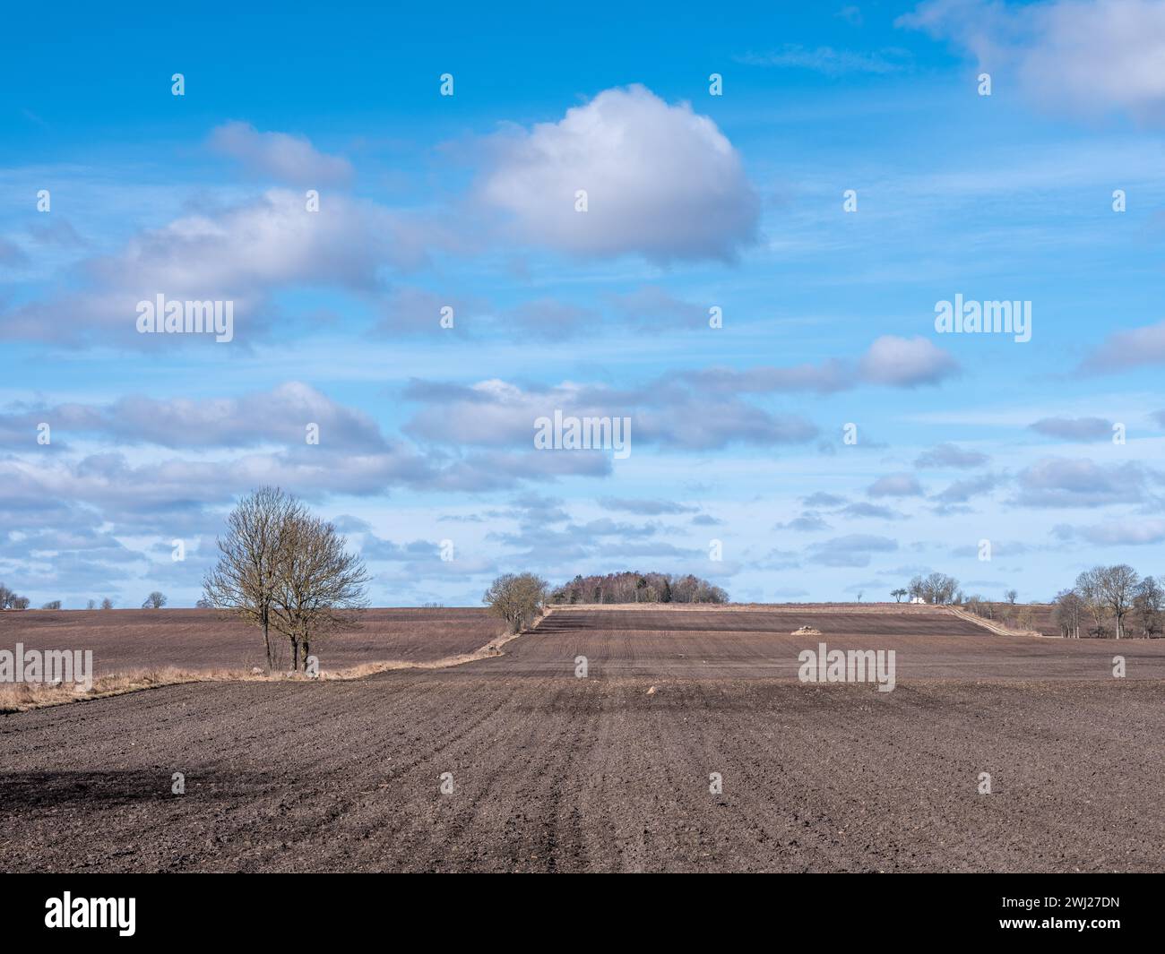 Paysage agricole rural avec champ labouré au début du printemps. Tourné en Suède, Scandinavie Banque D'Images