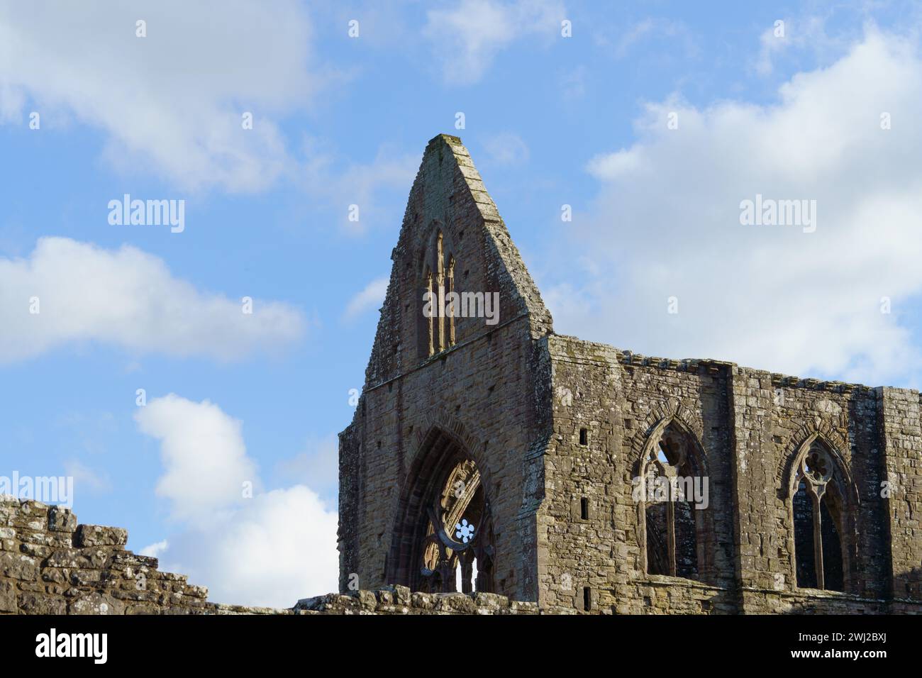 L'abbaye de Tintern, fondée en 1131, est située à côté du village de Tintern, Monmouthshire, au sud du pays de Galles, et est en cours de travaux pour la rendre stable. Banque D'Images