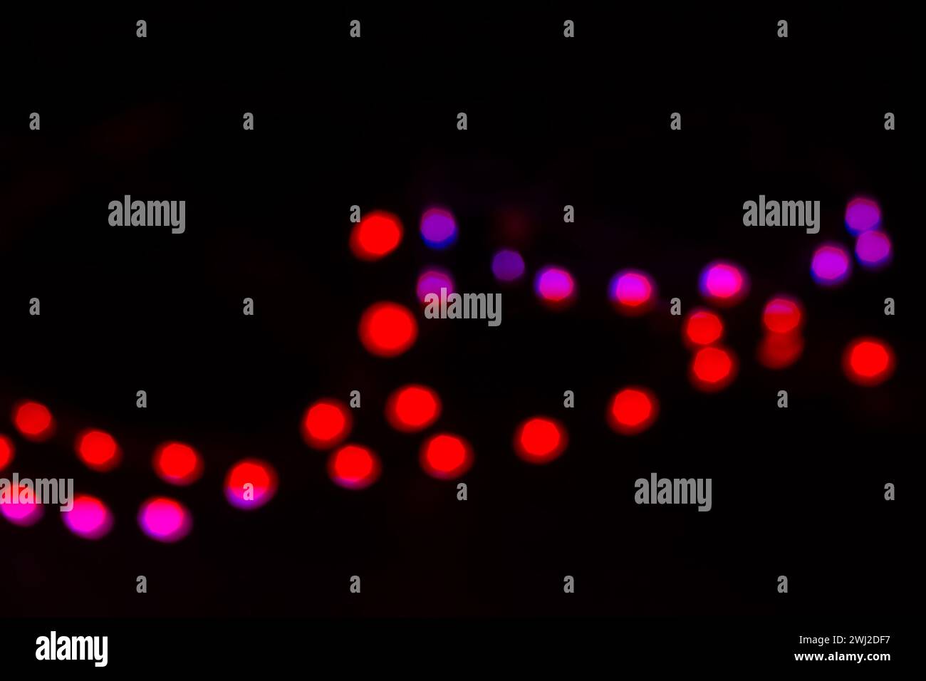 Lumières bokeh rouges et violettes bichromes au néon sur noir. Concept festif Banque D'Images