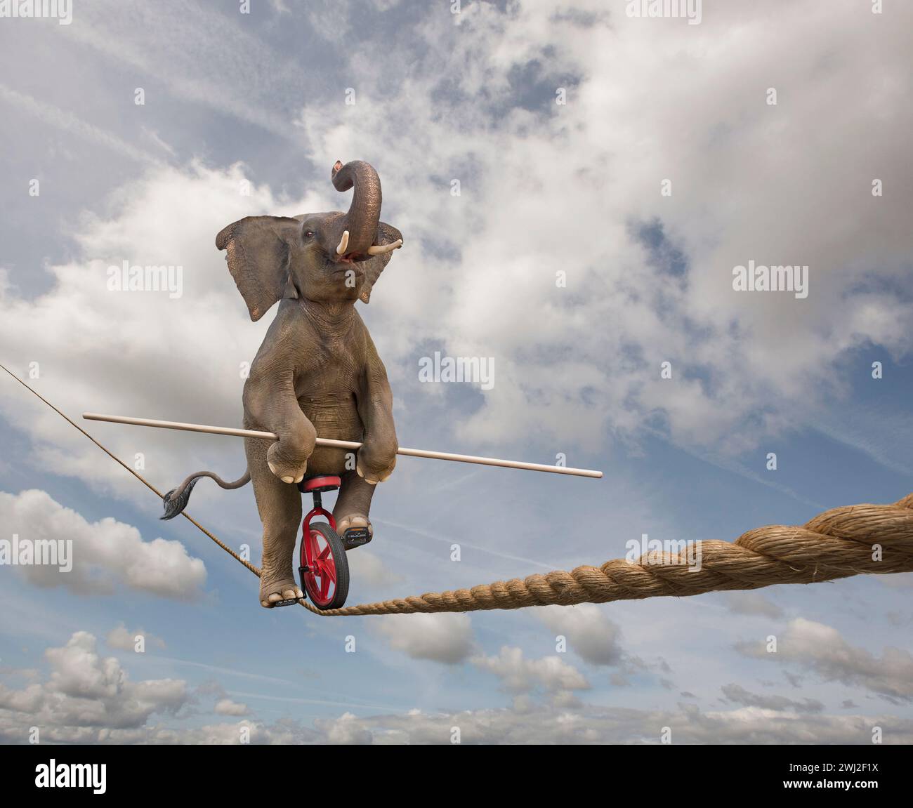 Un éléphant monte un monocycle sur une corde raide dans une image de taille, de compétence et de l'inattendu. Banque D'Images