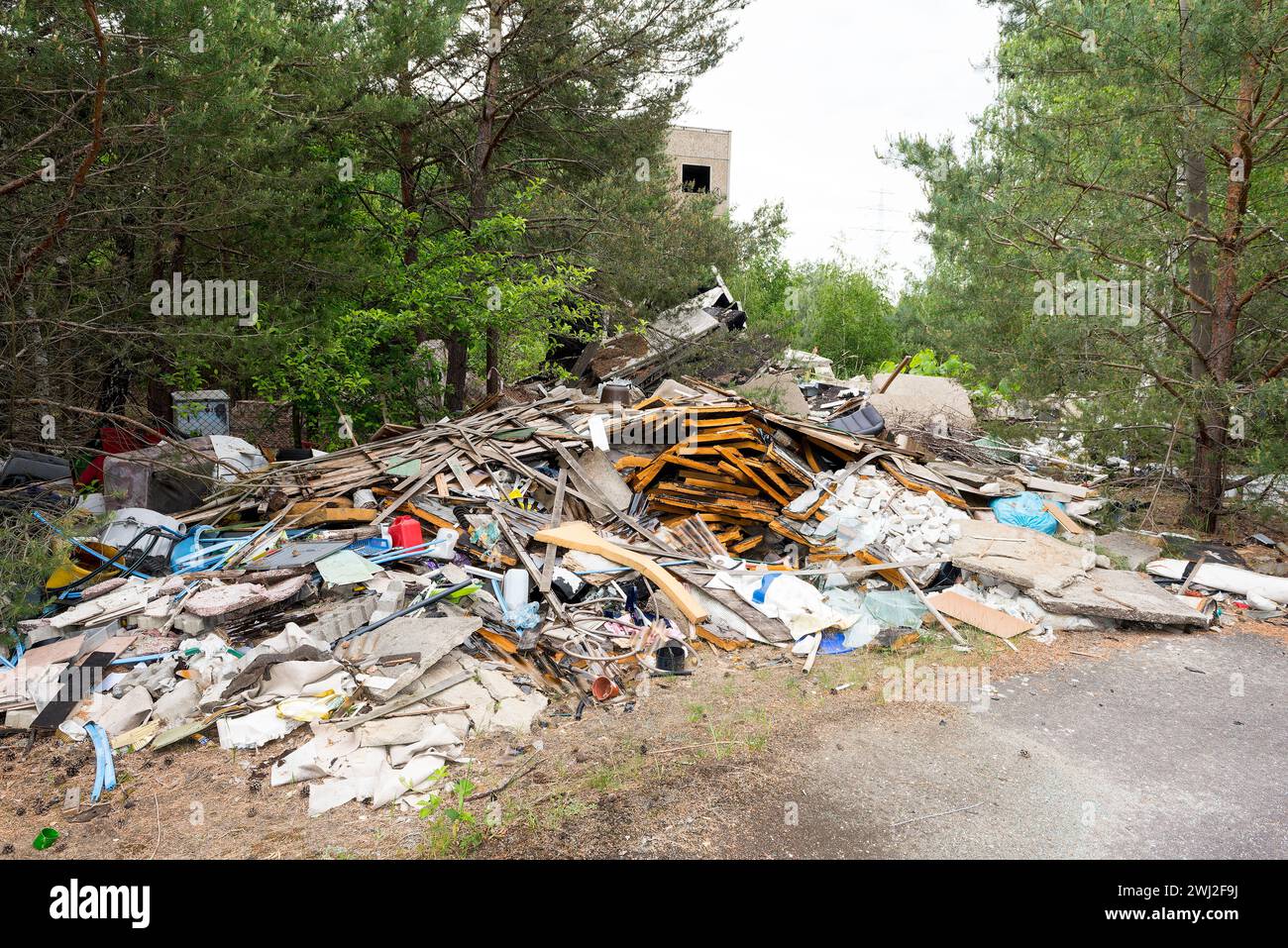 Déversement illégal de déchets volumineux dans la forêt Banque D'Images