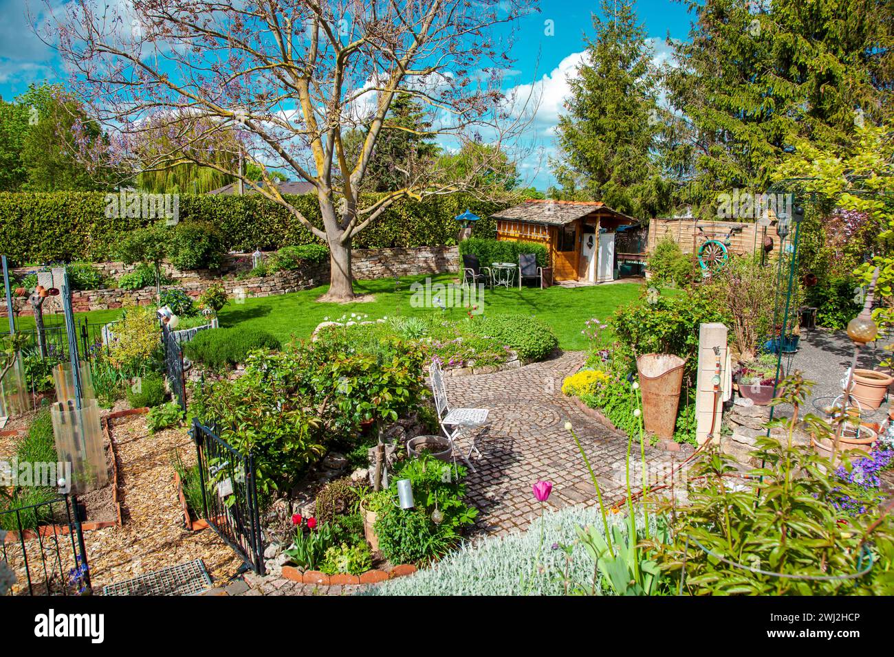 Jardin résidentiel, jardin privé. Aménagement paysager dans le jardin de la maison, bel aménagement paysager Banque D'Images