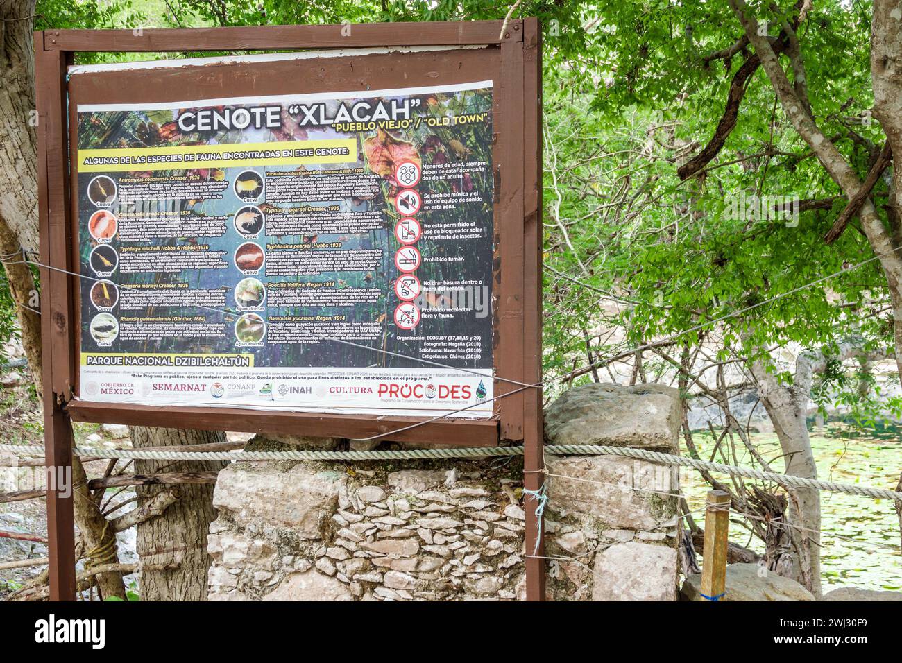 Merida Mexique, Dzibilchaltun Archaeological zone site National Park, civilisation maya ruines de la ville, Zona Arqueologica de Dzibilchaltun, signe info sur la faune Banque D'Images