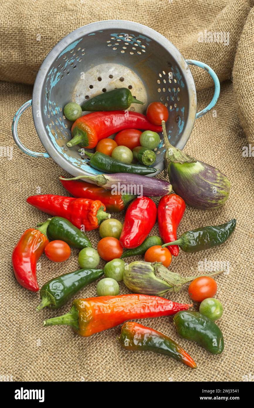 Assortiment de légumes et passoire sur toile de jute. Banque D'Images