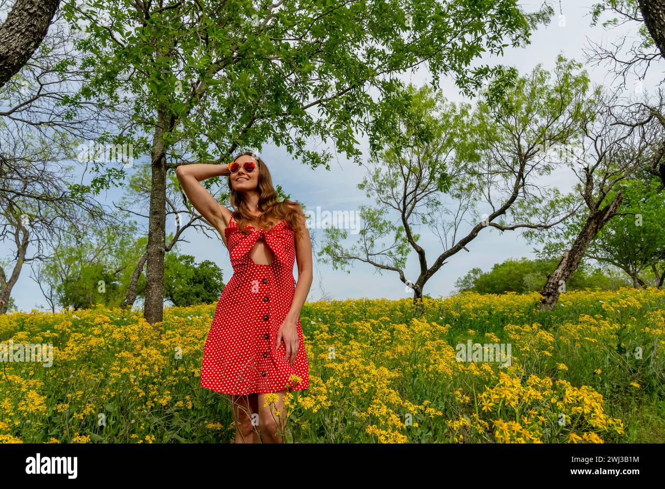 Un beau modèle Brunette pose dans Un champ de fleurs jaunes dans Un Prarie Texas Banque D'Images