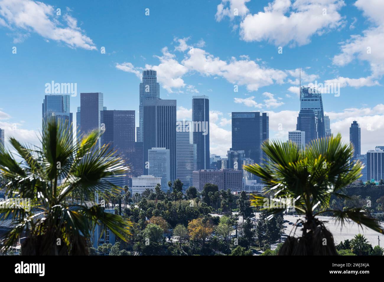 Gratte-ciel du centre-ville de Los Angeles avec des palmiers. Banque D'Images