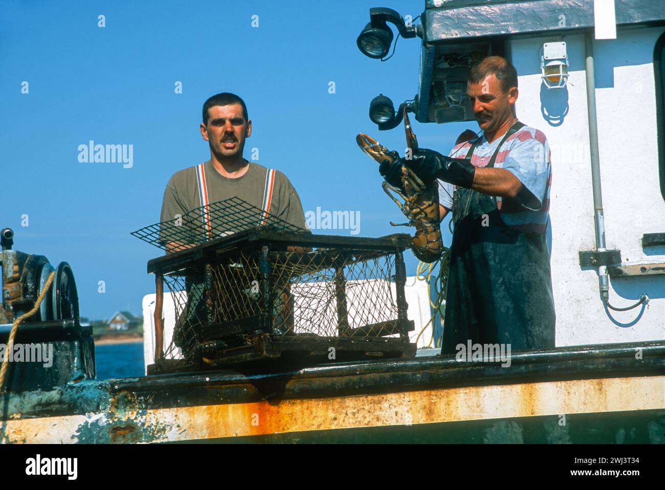 Homard au large de la côte du cap aux meules, Isles d'Madeleine, Îles de la Madeleine, dans le golfe du Saint-Laurent, Québec, Canada Banque D'Images