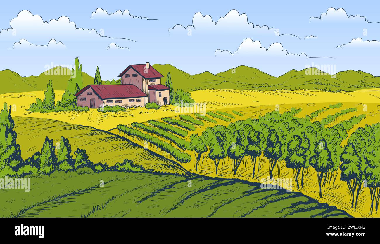 Concept de vecteur de paysage de vignoble Illustration de Vecteur