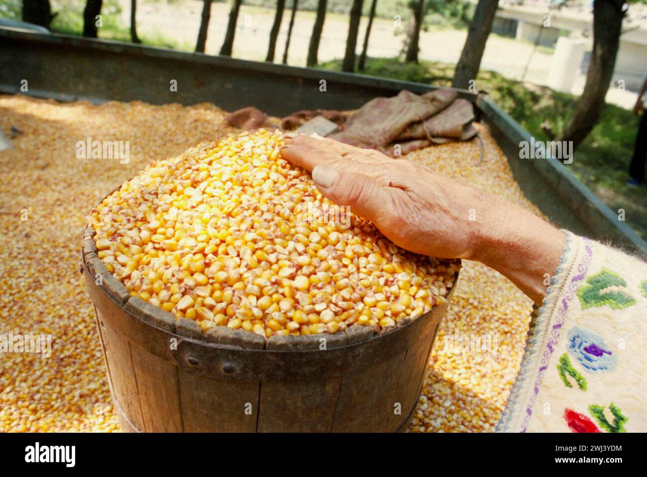 Comté de Vrancea, Roumanie, approx. 1998. Homme vendant des graines de maïs sèches à une foire de campagne. Banque D'Images