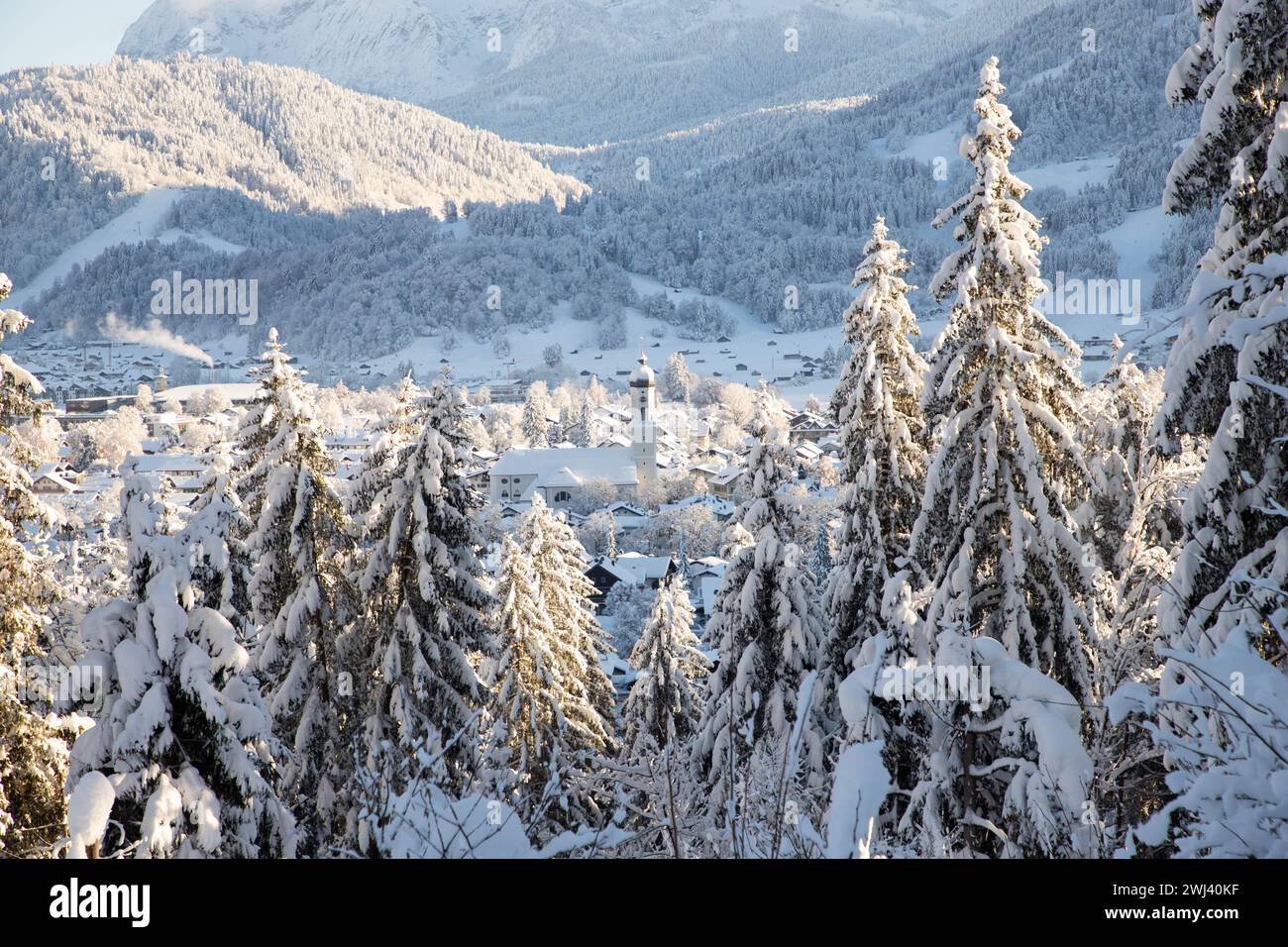 Paysage de montagne d'hiver dans les Alpes avec des sapins couverts de neige Banque D'Images