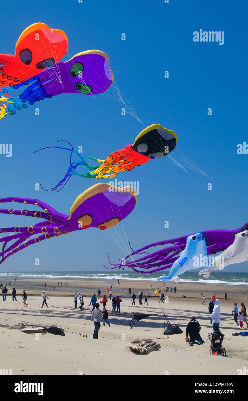 Octopus kites, Lincoln City Summer Festival du cerf-volant, Dee River State Park, New York Banque D'Images