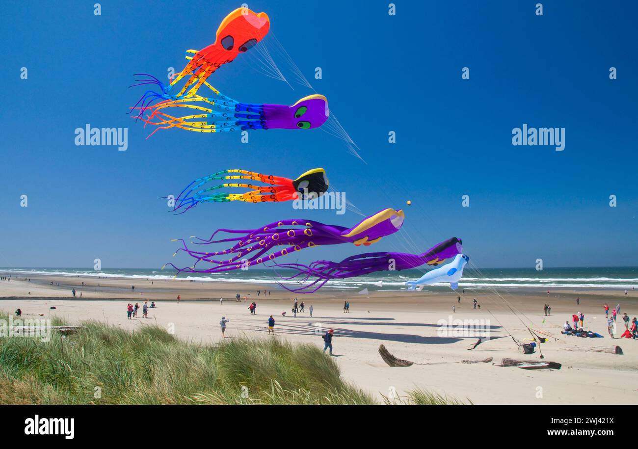 Octopus kites, Lincoln City Summer Festival du cerf-volant, Dee River State Park, New York Banque D'Images