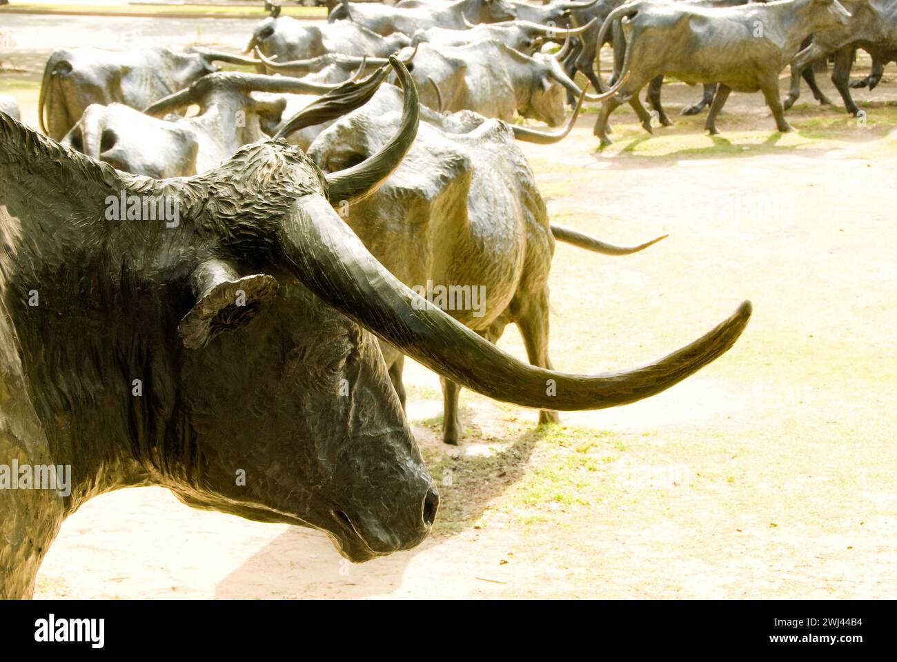 Pioneer Plaza Cattle Drive est le plus grand monument de bronze au monde. Les sculptures d'un élevage de bovins de bœufs longhorn et de cow-boys à cheval Banque D'Images