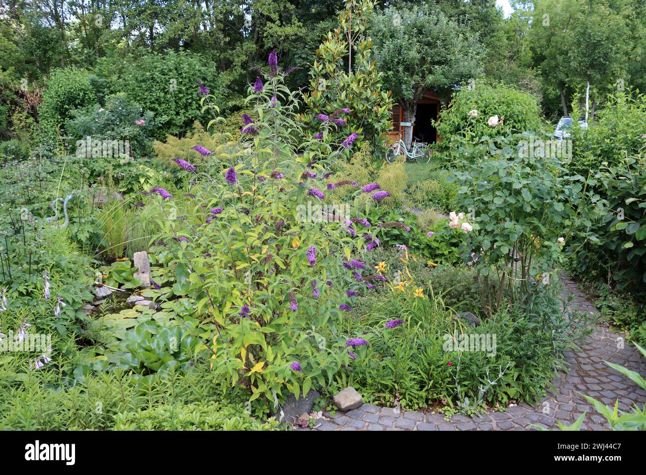 Jardin respectueux du climat avec étang de jardin et chemin de jardin Banque D'Images