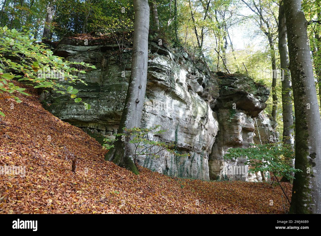 Rochers près de Consdorf dans le Muellerthal, Luxembourg Banque D'Images