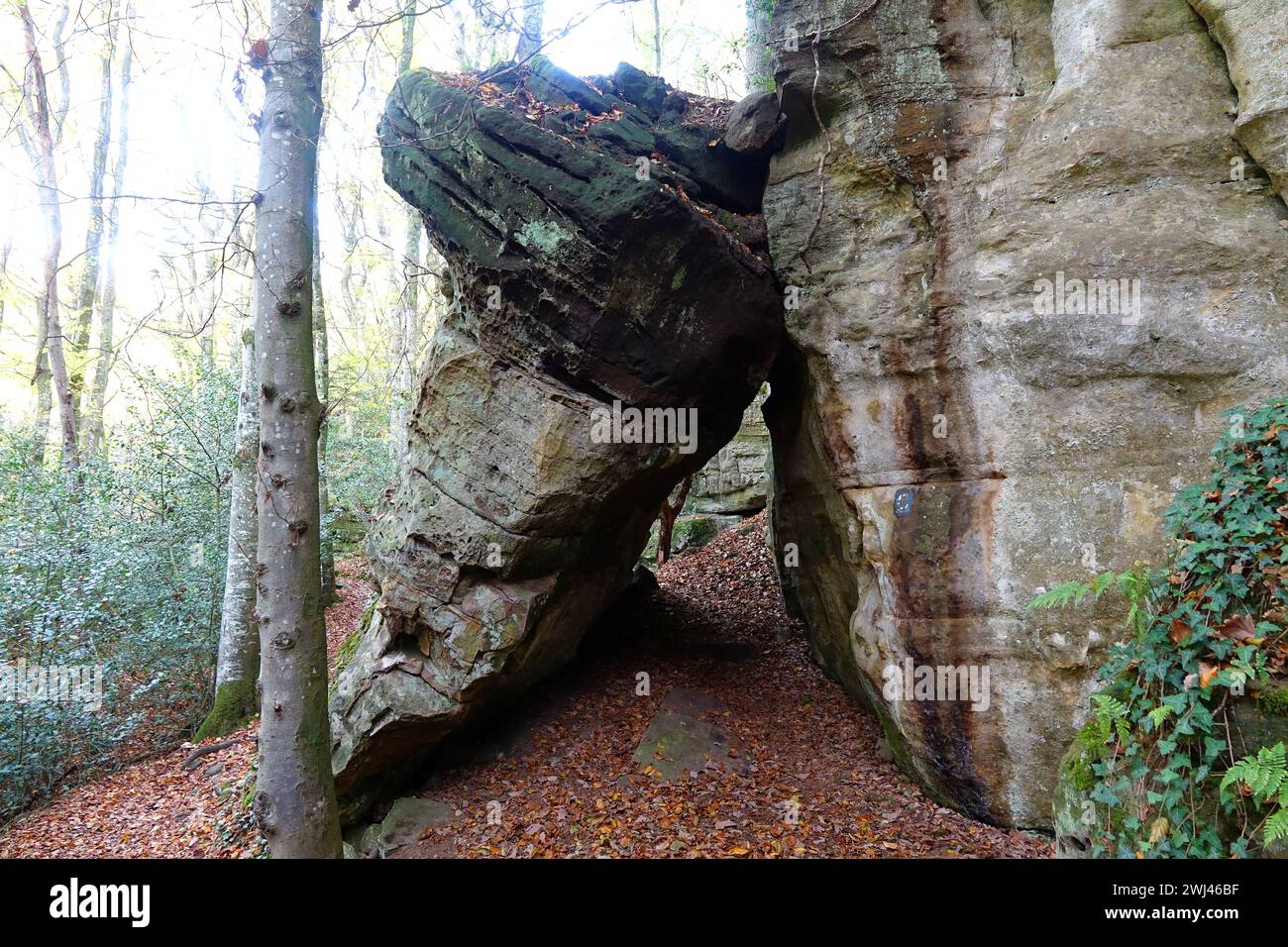 Rochers près de Consdorf dans le Muellerthal, Luxembourg Banque D'Images