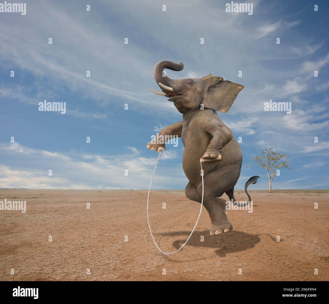 Un éléphant drôle saute à la corde dans un affichage d'agilité et d'habileté inattendues. Banque D'Images