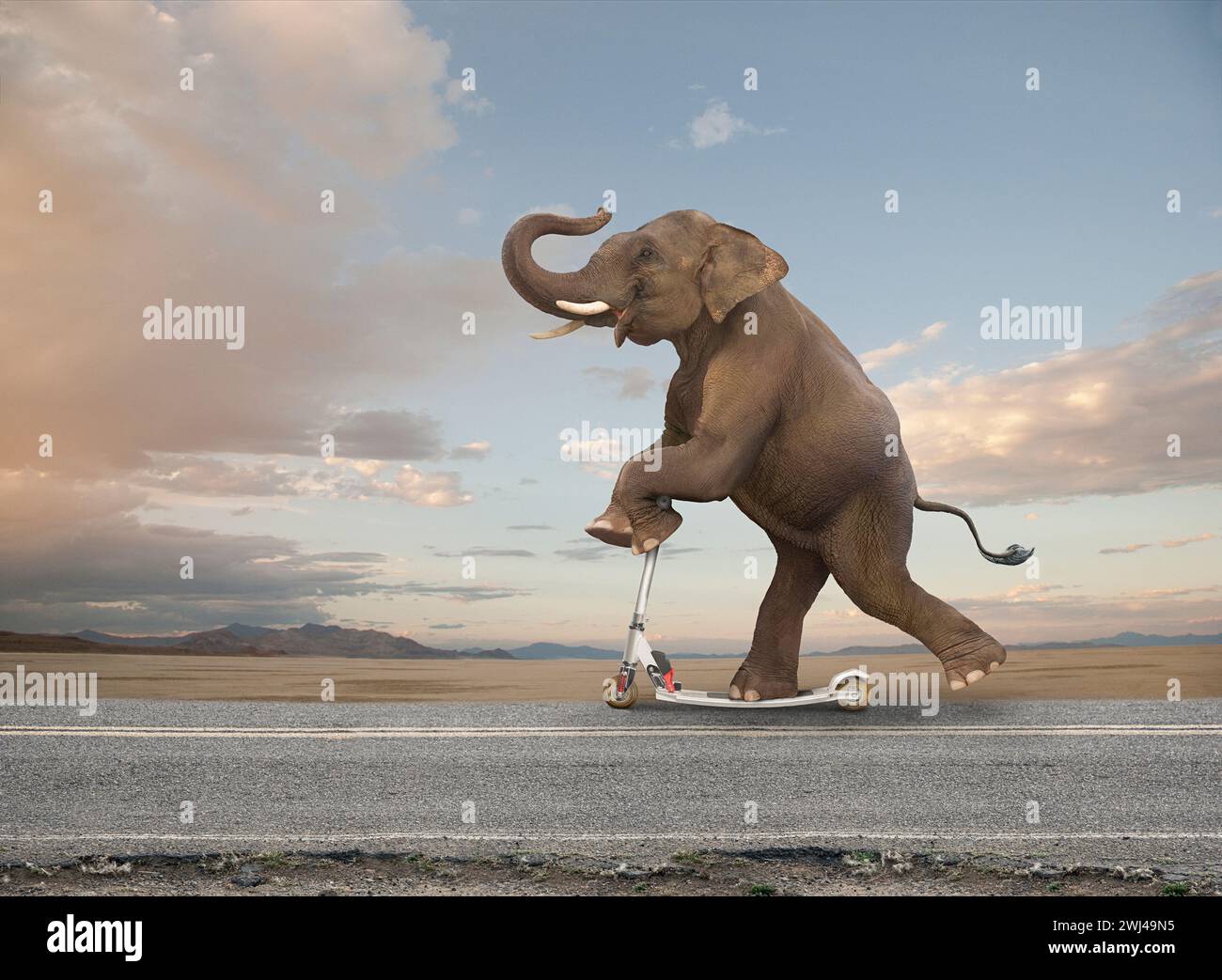 Un éléphant drôle court sur une route sur un scooter rasoir dans une image sur la vitesse inattendue, l'habileté et l'agilité. Banque D'Images