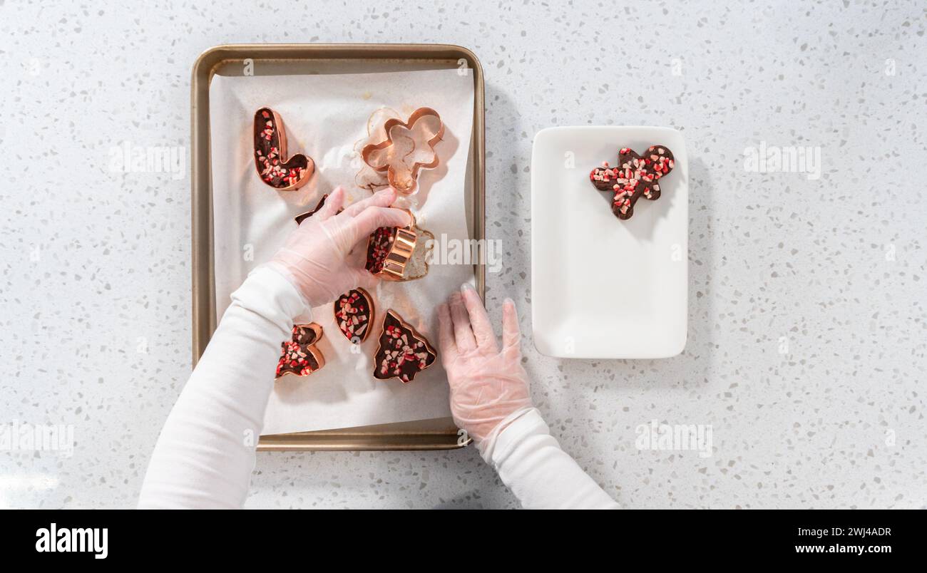 Emporte-pièce de Noël à la menthe poivrée Banque D'Images