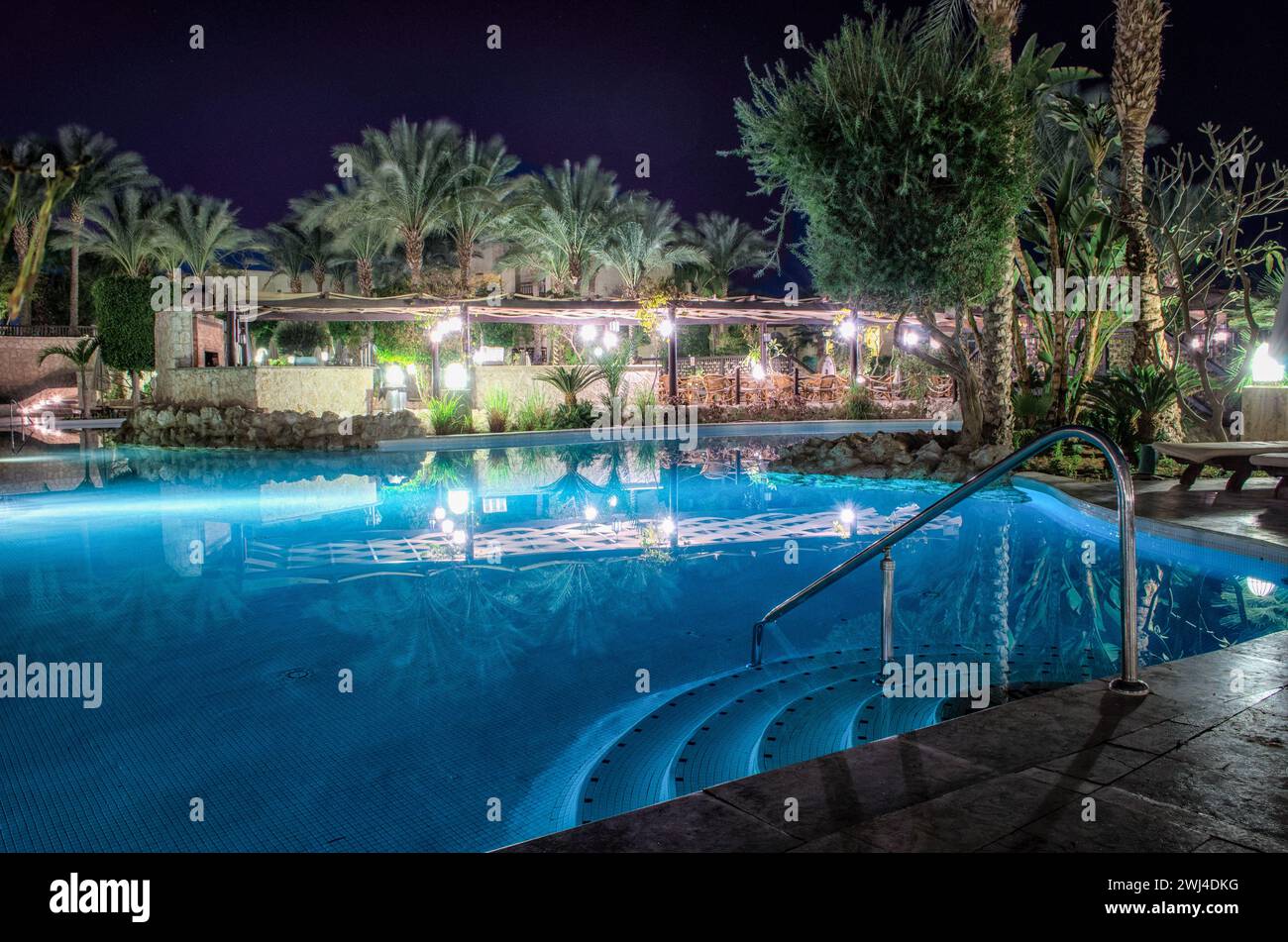Piscine et palmiers verts la nuit sans gens en egypte Banque D'Images Piscine et palmiers verts la nuit sans gens en egypte Banque D'Images