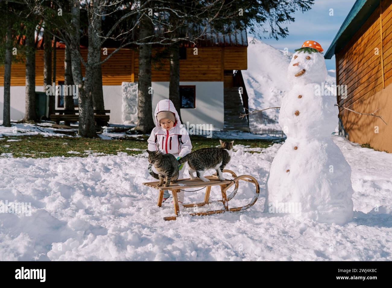 Petite fille regarde les chats assis sur un traîneau près d'un bonhomme de neige dans la cour Banque D'Images