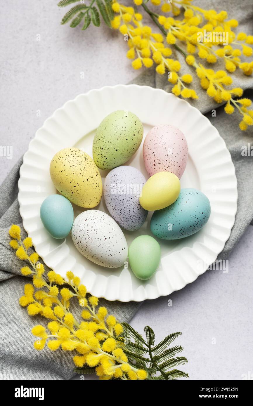 Une sélection d'œufs de Pâques peints dans des tons pastel sont élégamment présentés sur une assiette, accentués de fleurs de mimosa jaune fraîche. Banque D'Images
