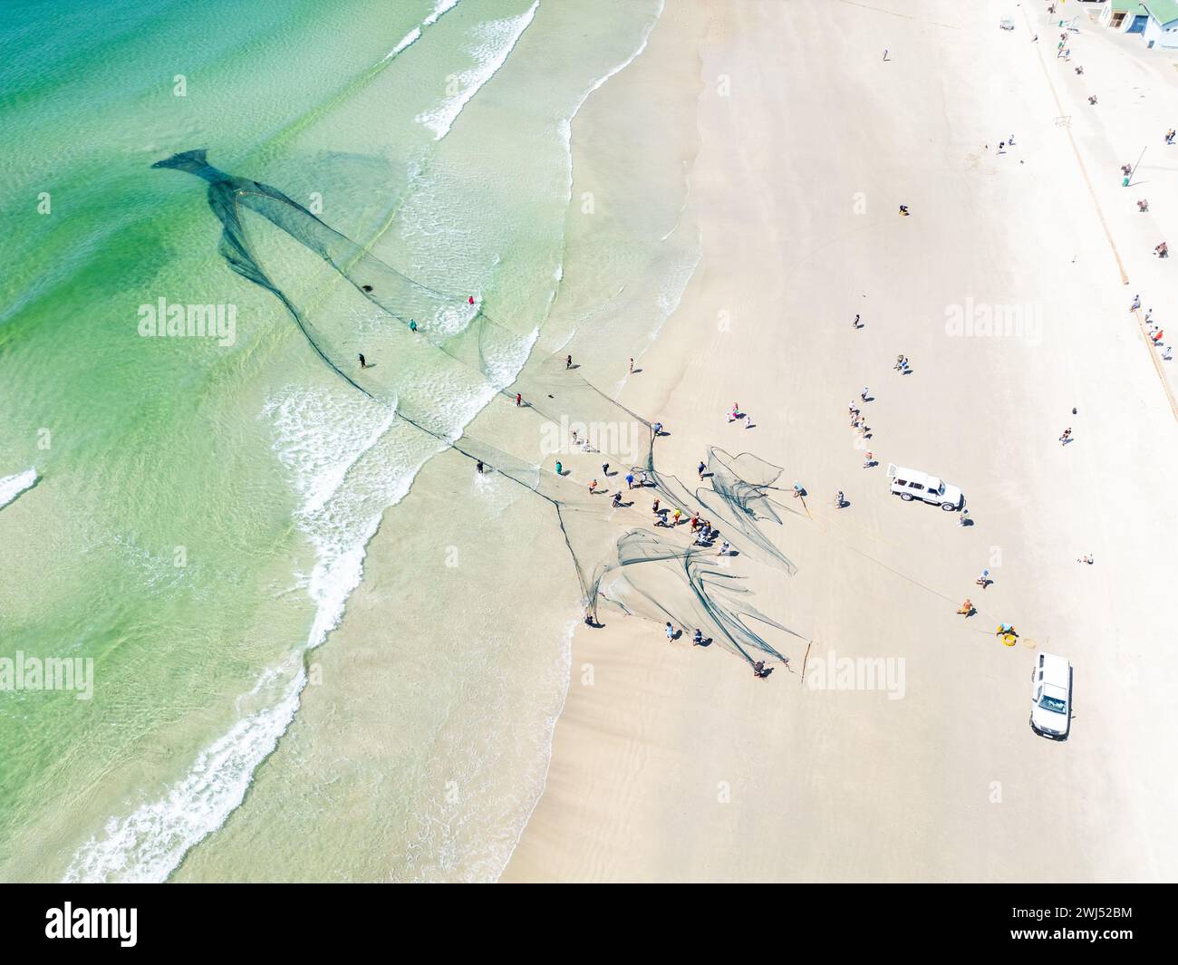 Trek pêcheurs, tirant des filets de pêche avec la capture de queue jaune, Fish Hoek, Cape Town, Afrique du Sud Banque D'Images