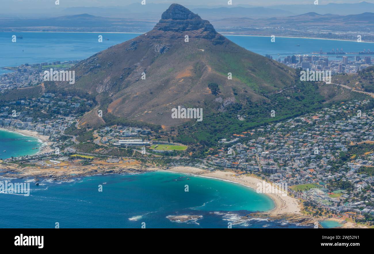 Tête de lion sur la côte sud de l'Atlantique près du Cap en Afrique du Sud Banque D'Images