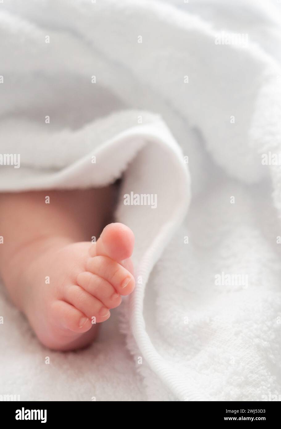 Nouveaux débuts : le pied du nourrisson délicatement enveloppé de blanc Banque D'Images