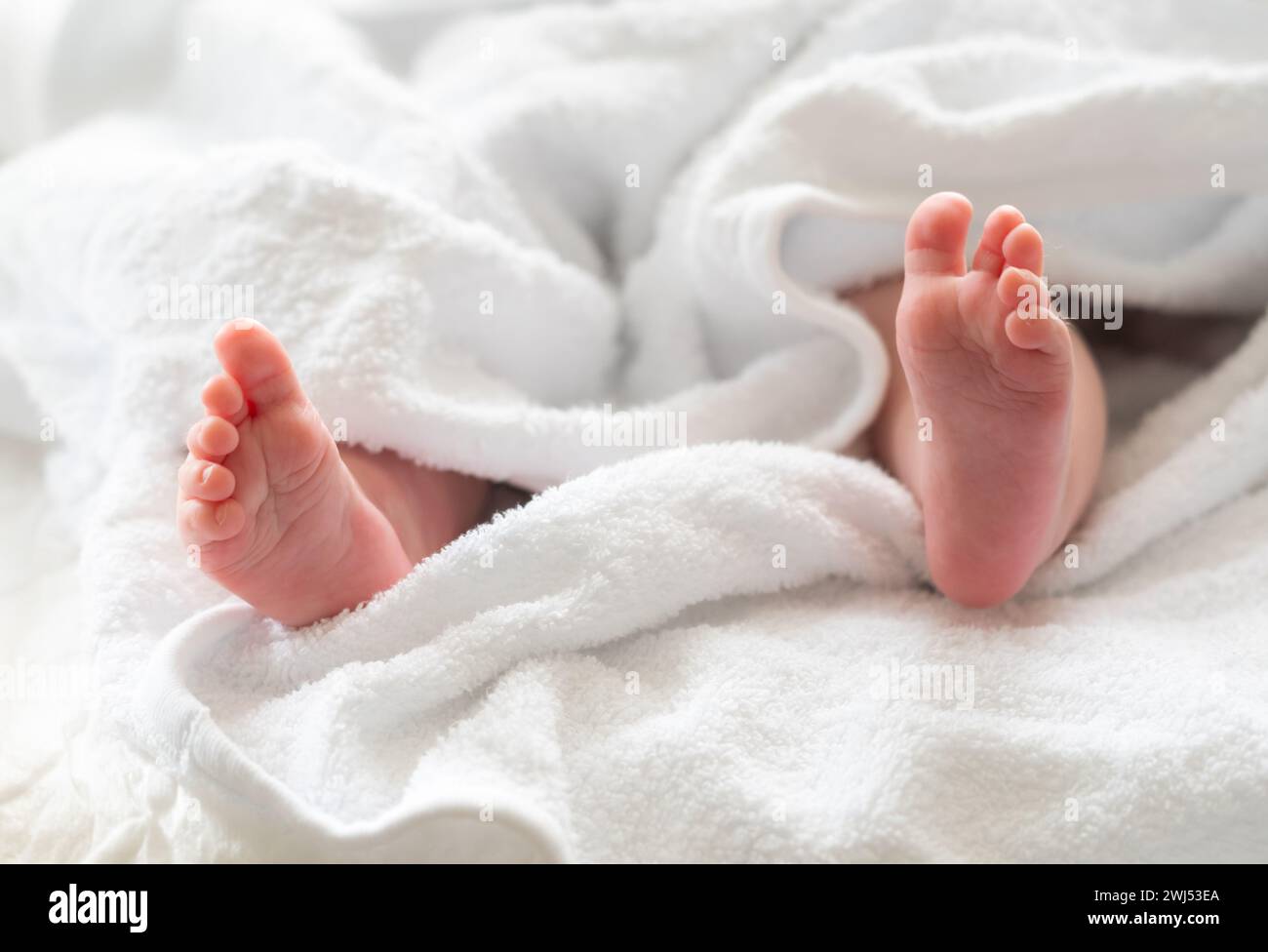 Les petits pieds du nouveau-né protégés par une serviette blanche. Concept de soins et de soins Banque D'Images