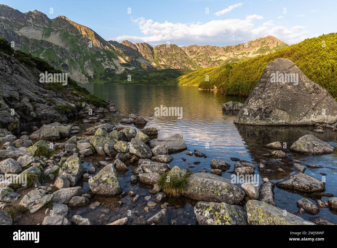 Lacs alpins Dolina Pieciu Stawow dans les montagnes Tatra, Pologne en été Banque D'Images