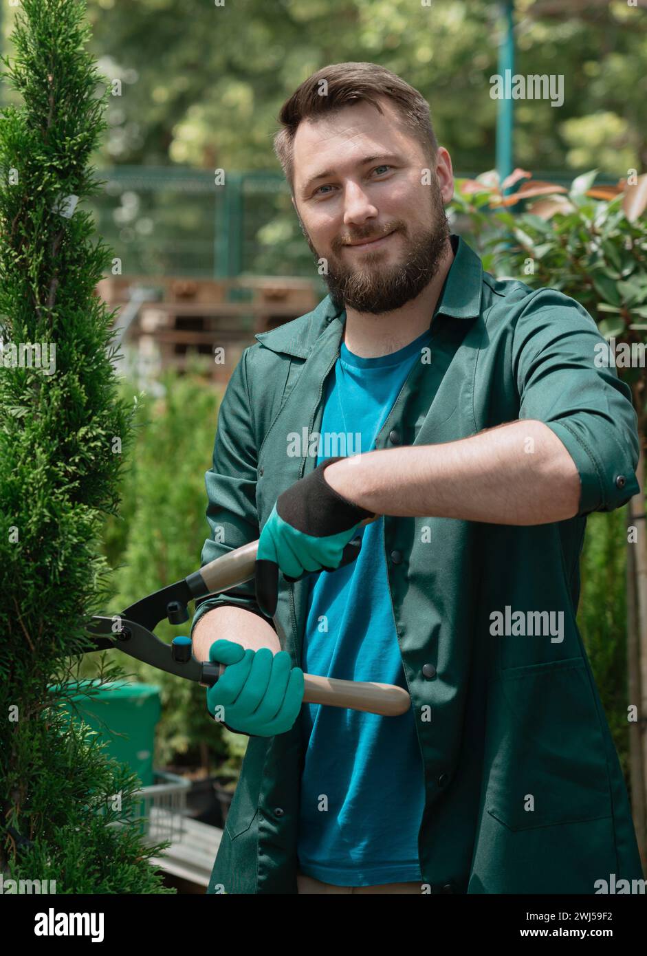 Homme tailler des arbres décoratifs à vendre dans la boutique de jardin Banque D'Images